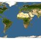 Discover Life: Point Map of Machilinus aurantiacus